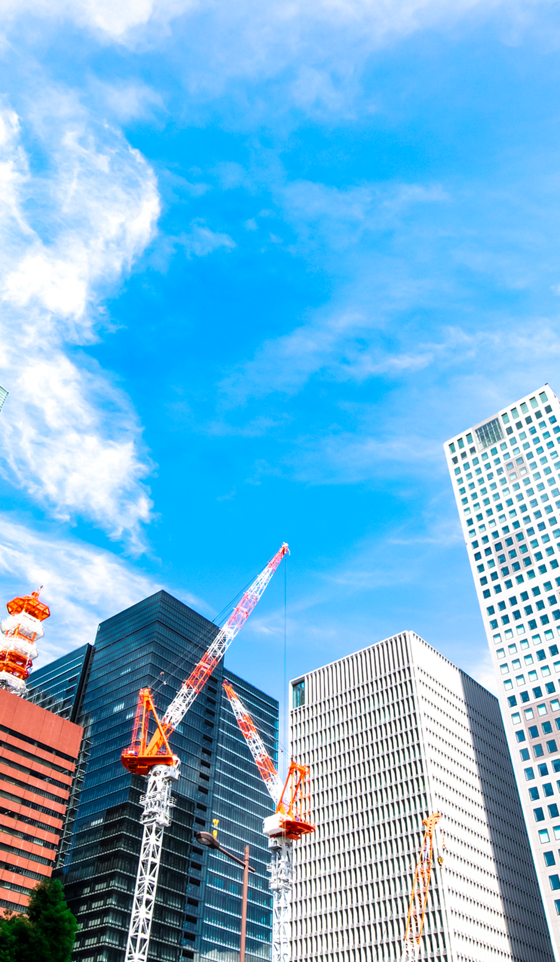 会社概要の画像